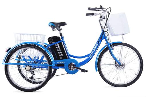 Трицикл Izh-Bike Farmer 250W